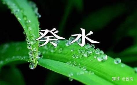 葵水命|癸水命